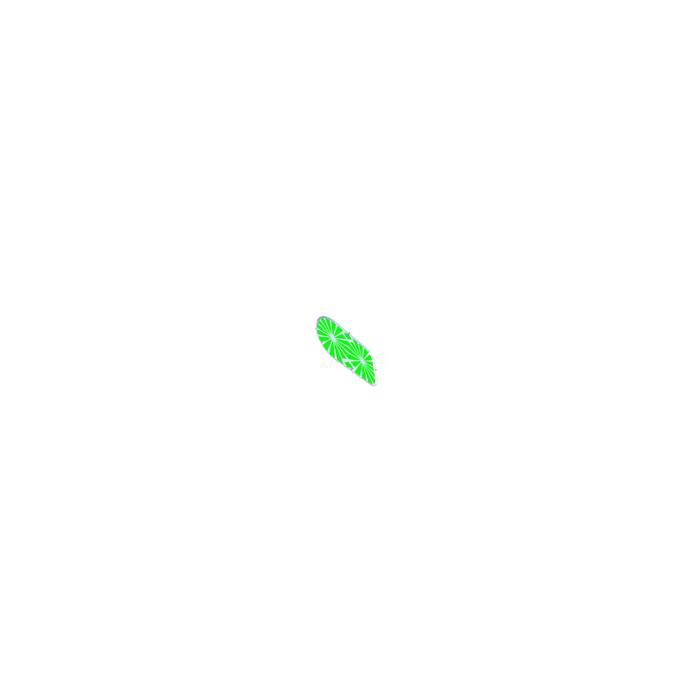 image.click.zoom