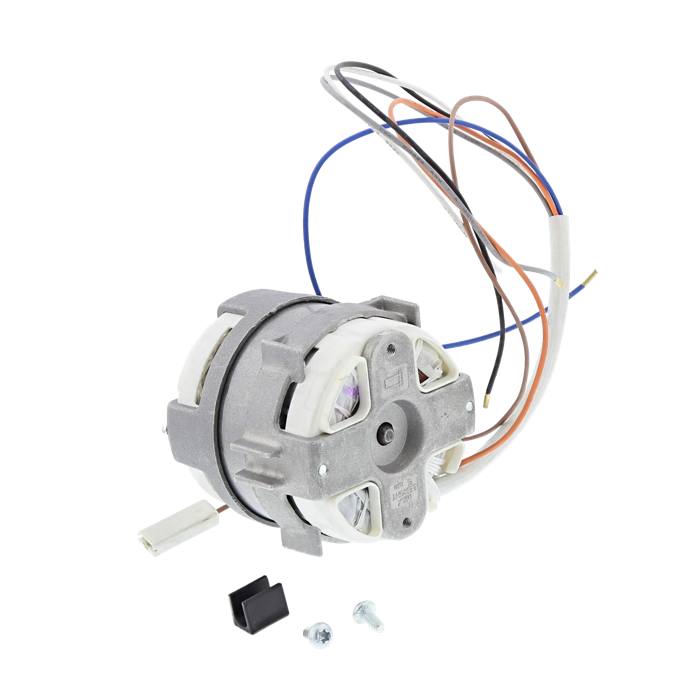 motor, right