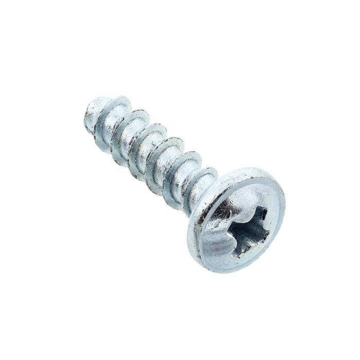Refrigerator Chrome Plated Screw