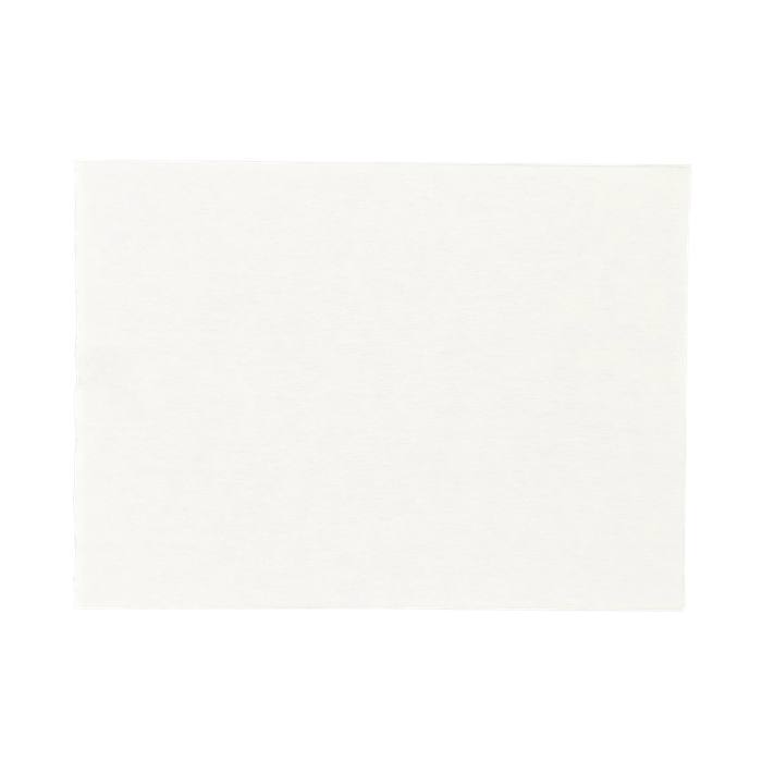 Cooker Hood Fat Filter - 170 x 465 x 0.7mm