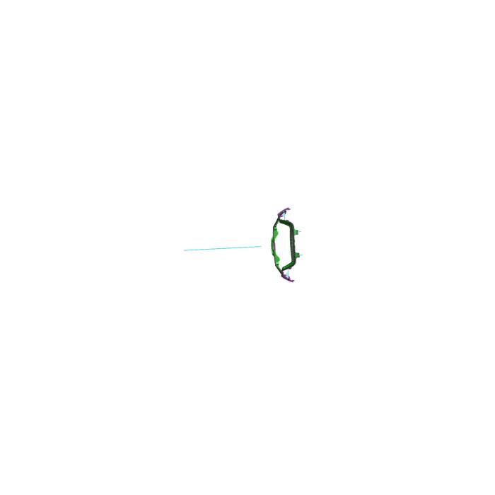 enjoliveur, vert