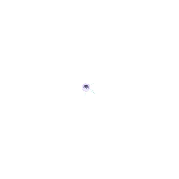image.click.zoom