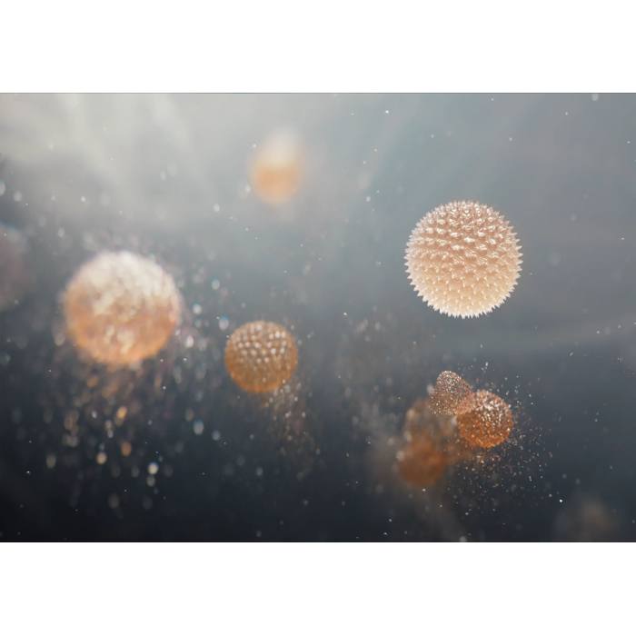 EFFBTH4 - POLLEN CARE FILTER