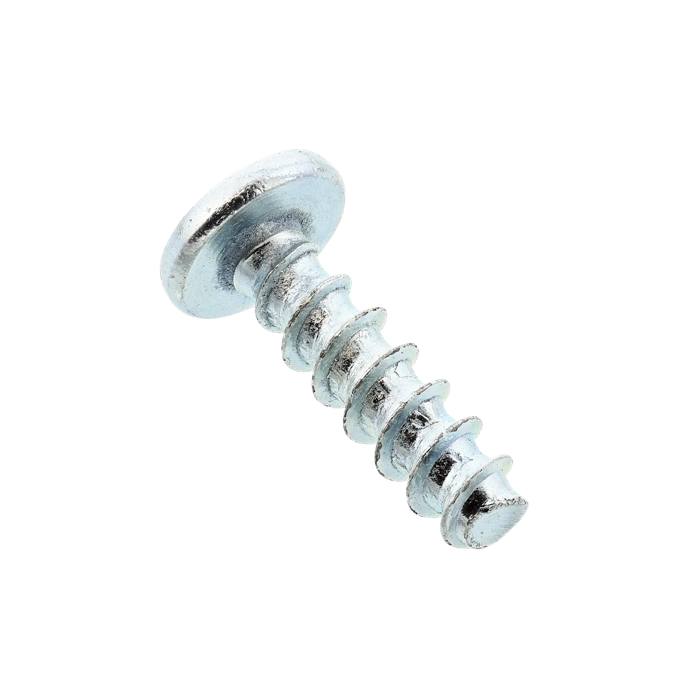 Refrigerator Chrome Plated Screw