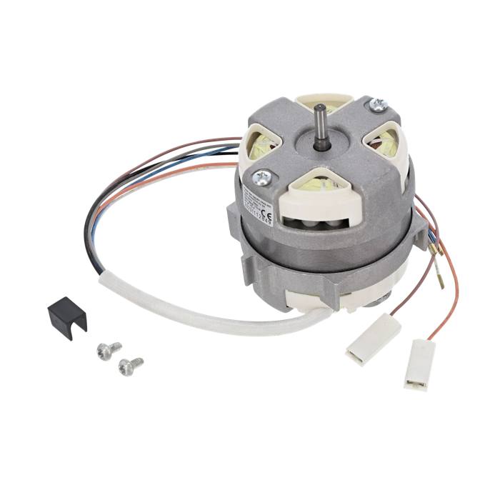 motor, left