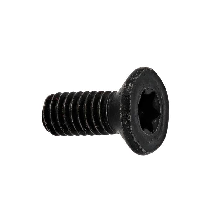 screw, M4x10 T
