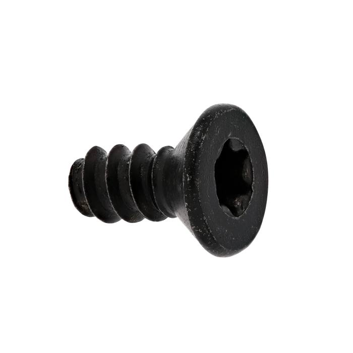 Schraube, Scharnier, 4,2x9,5 T20