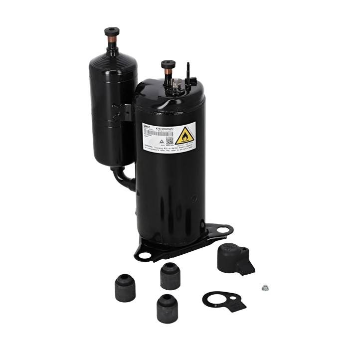 Compressor, inverter, DC Rotary