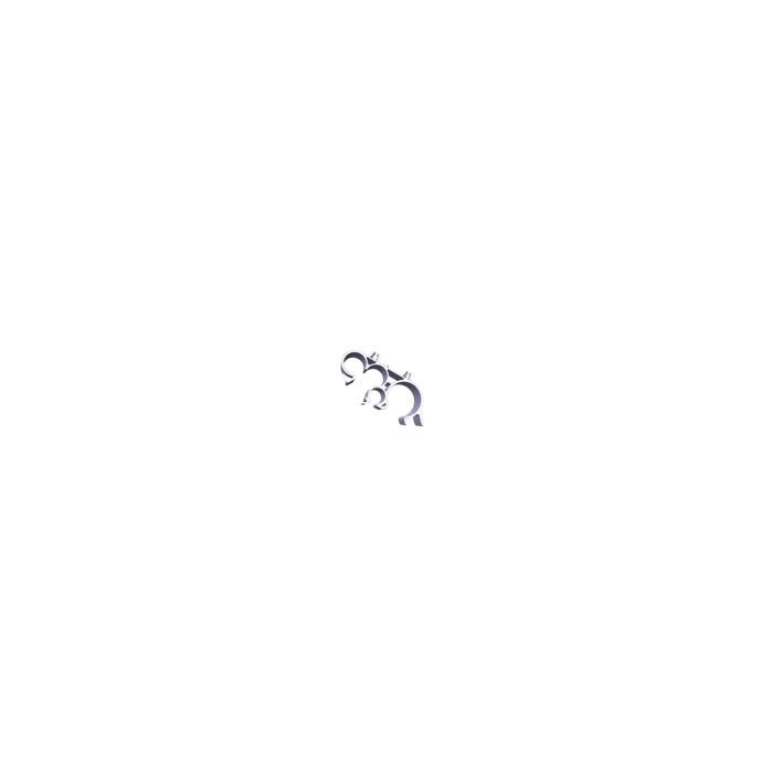 image.click.zoom