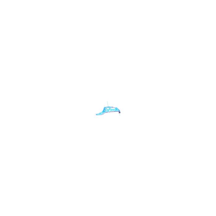 image.click.zoom