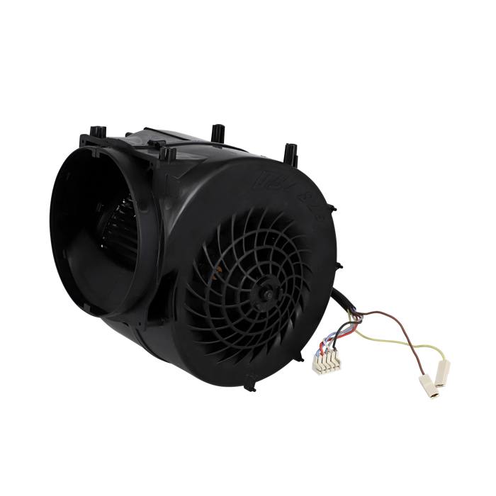 SATZ,MOTOR,VER 2024
