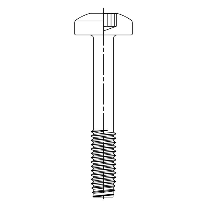 bolt, M4x45 T20