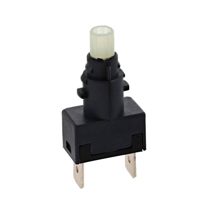 microswitch