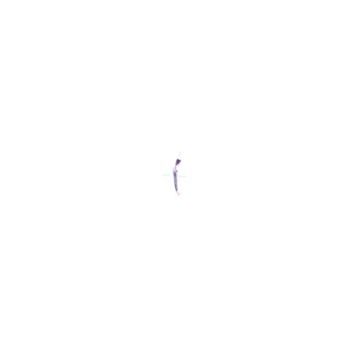 image.click.zoom