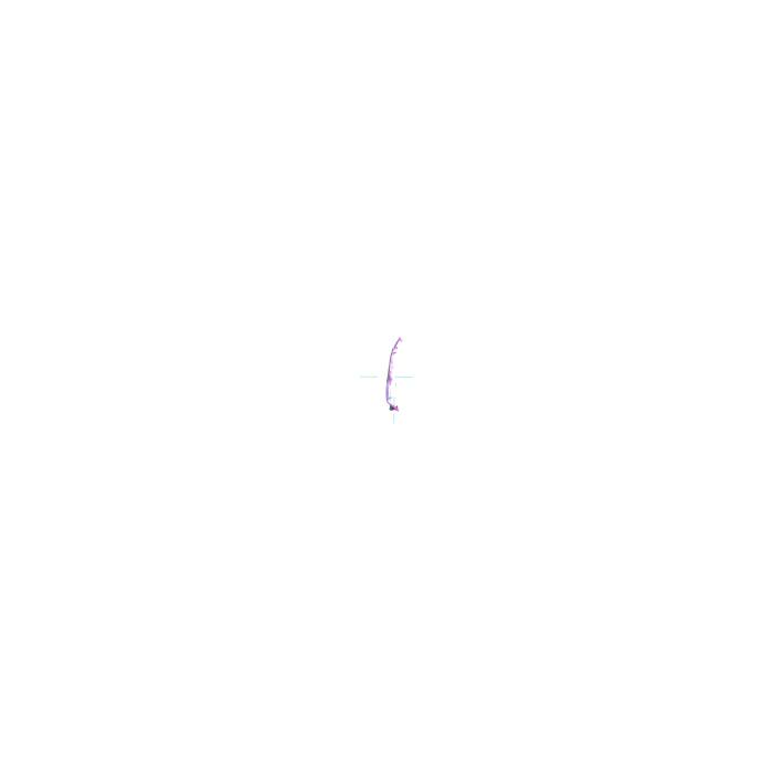 image.click.zoom