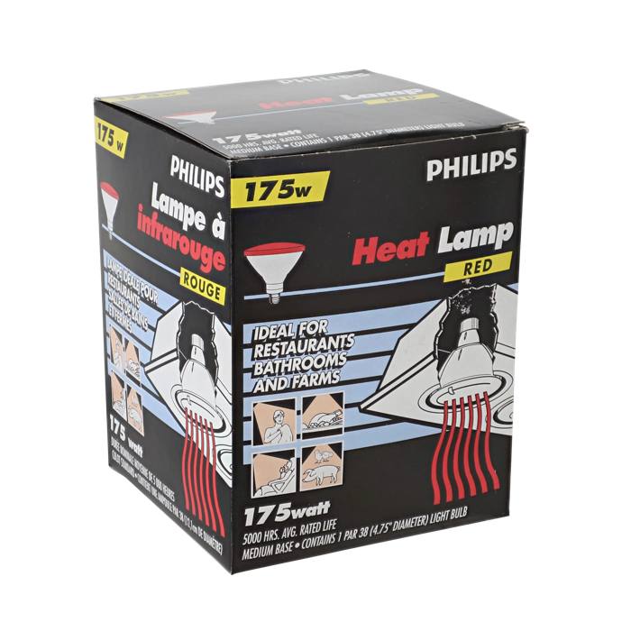 lamp