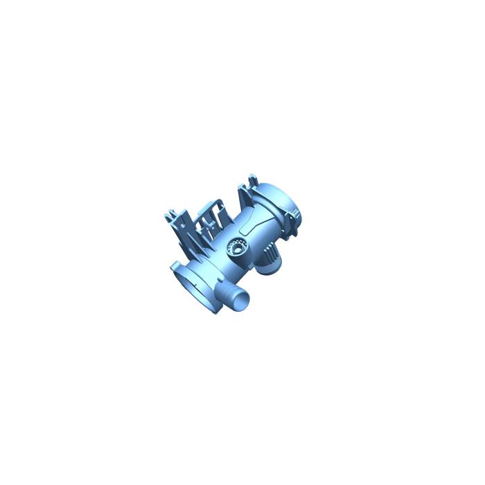 pumphus