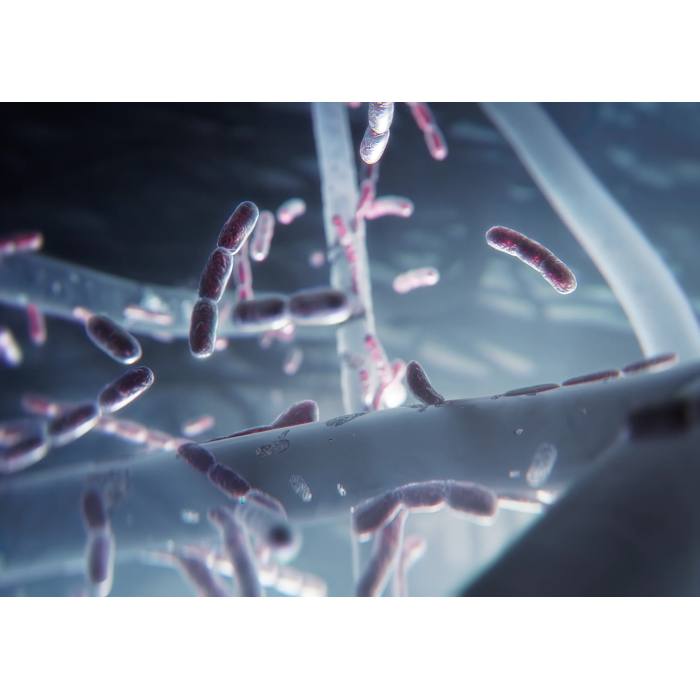 EFFCLN4 A4 ULTRAFINE FILTER