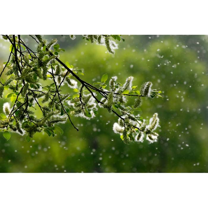 PureA9 BREATHE360 Pollen Protect filter 400 CADR