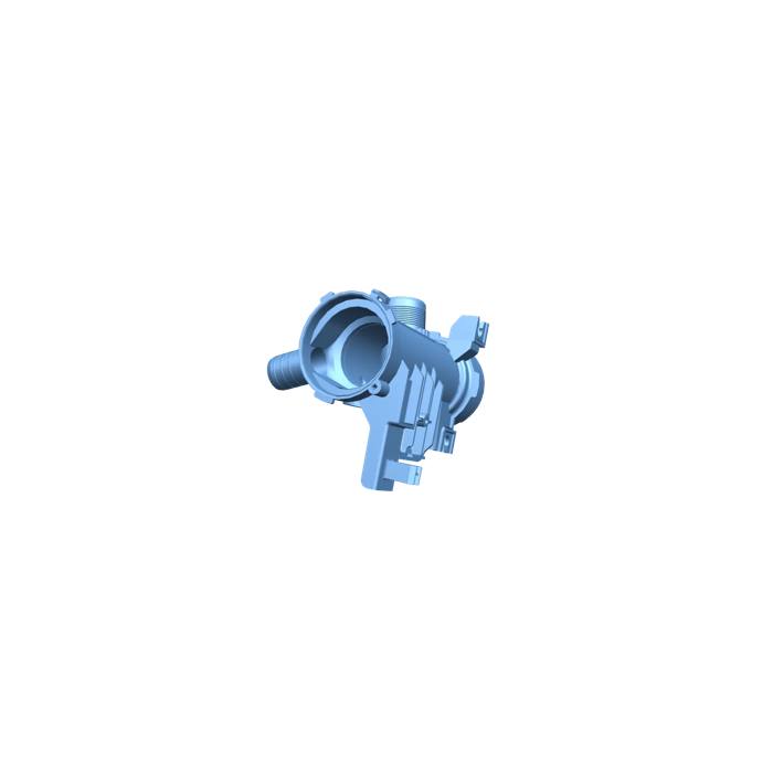 pumphus