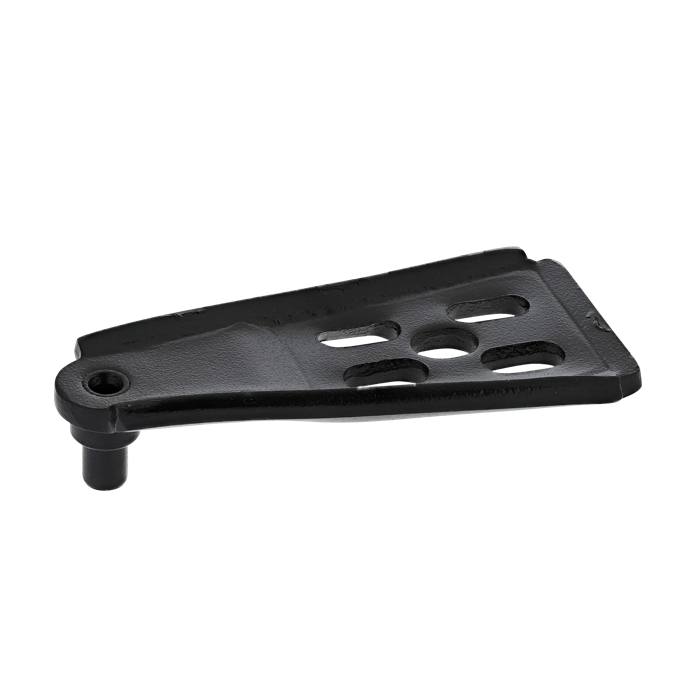 hinge, lower