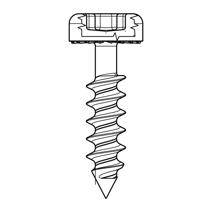 SCREW