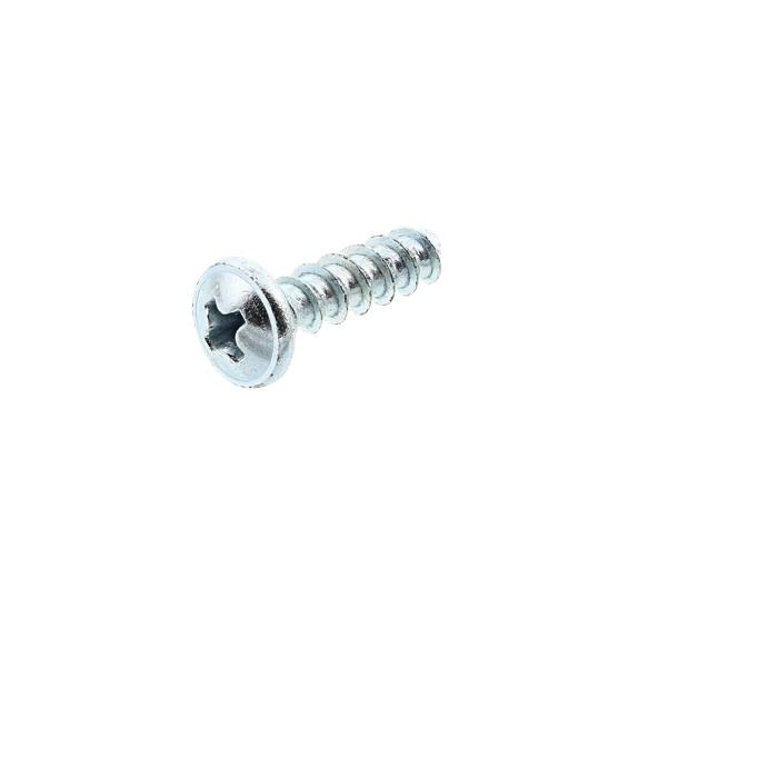 Refrigerator Chrome Plated Screw