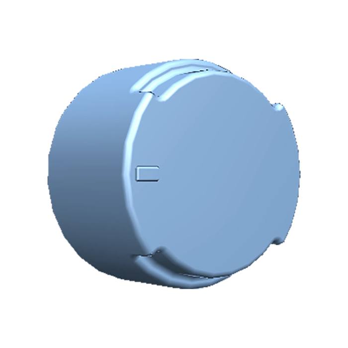 Bouton
