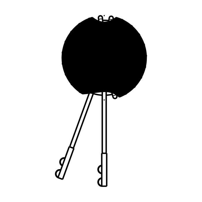 Spule