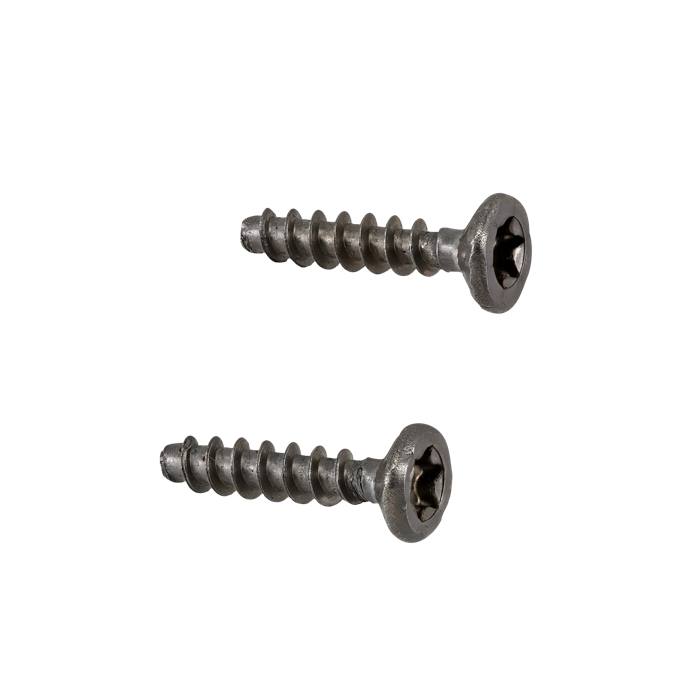 screw pack, latch, inox, 2x; [T20, 3,5x16]