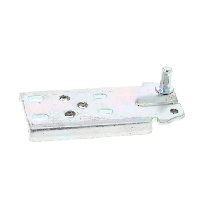 hinge, lower