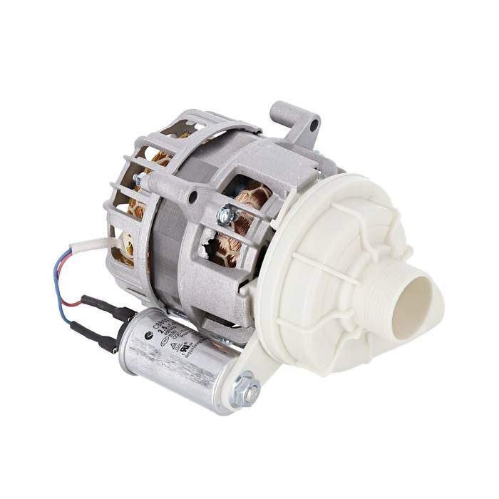 Pump, motor, duospeed