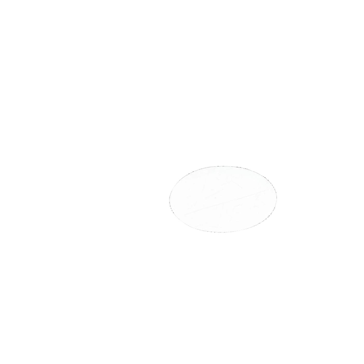 AEG filtro de descarga plano, 8090958045