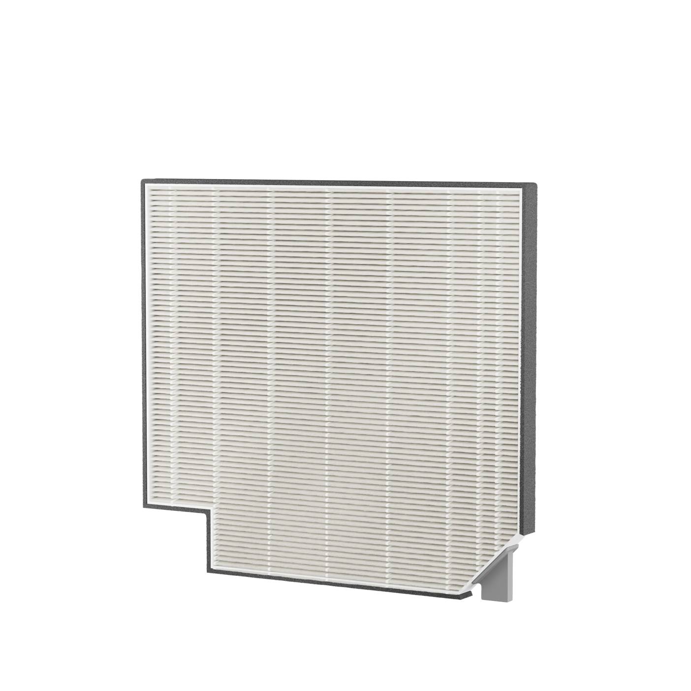 AEG EF21003 Clean Virus Filter 9009238792