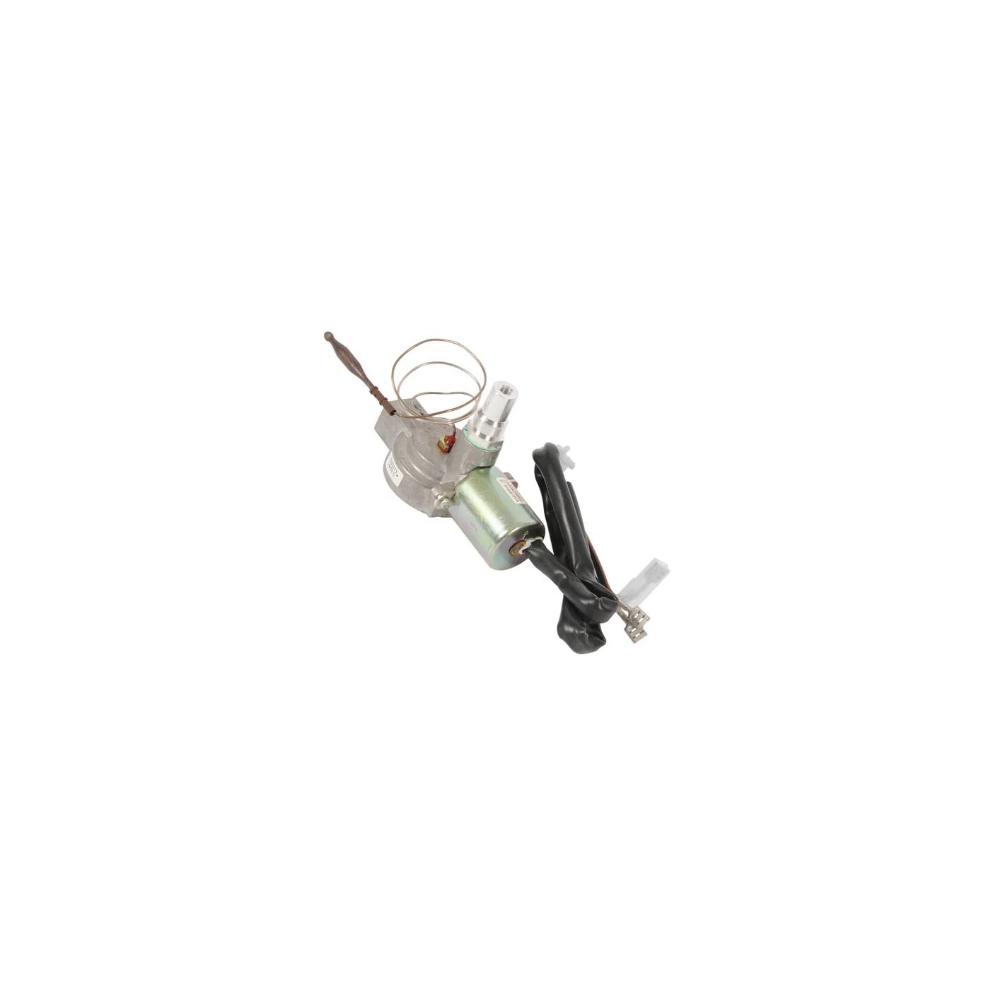 Cooker Flame Safety Device for Cookers, Ovens & Hobs - 3590706044 ...
