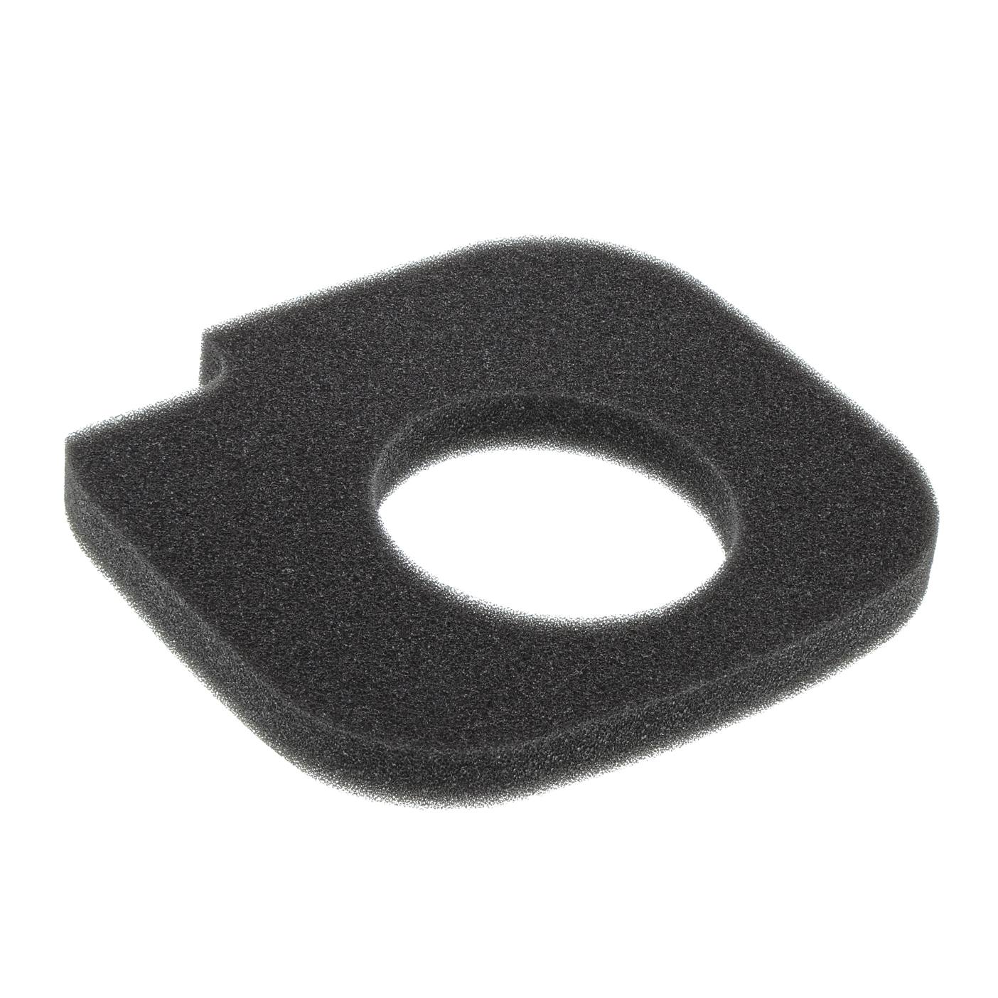 AEG filtro motor, 4055398152