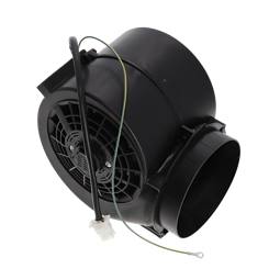 assembly, motor