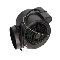 assembly, motor