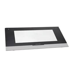 Door Glass Assembly - 894X463mm