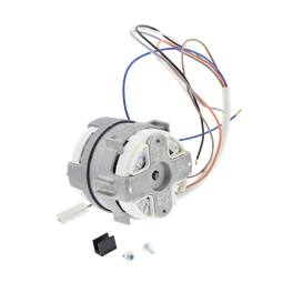 motor, right
