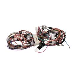 harness, electronic, assembly