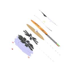 bobine, ovale, arrière