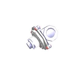 gas pressure regulator,