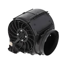 assembly, motor