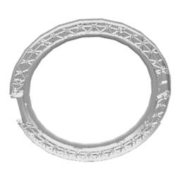 Türrahmen,hinten,weiss,Ø443,6mm