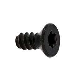 Schraube, Scharnier, 4,2x9,5 T20