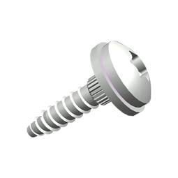 bolt, 2,9x13mm T10