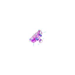 injecteur, complet, gris