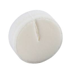 seal, foam
