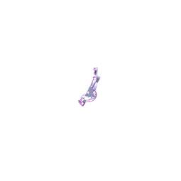image.click.view